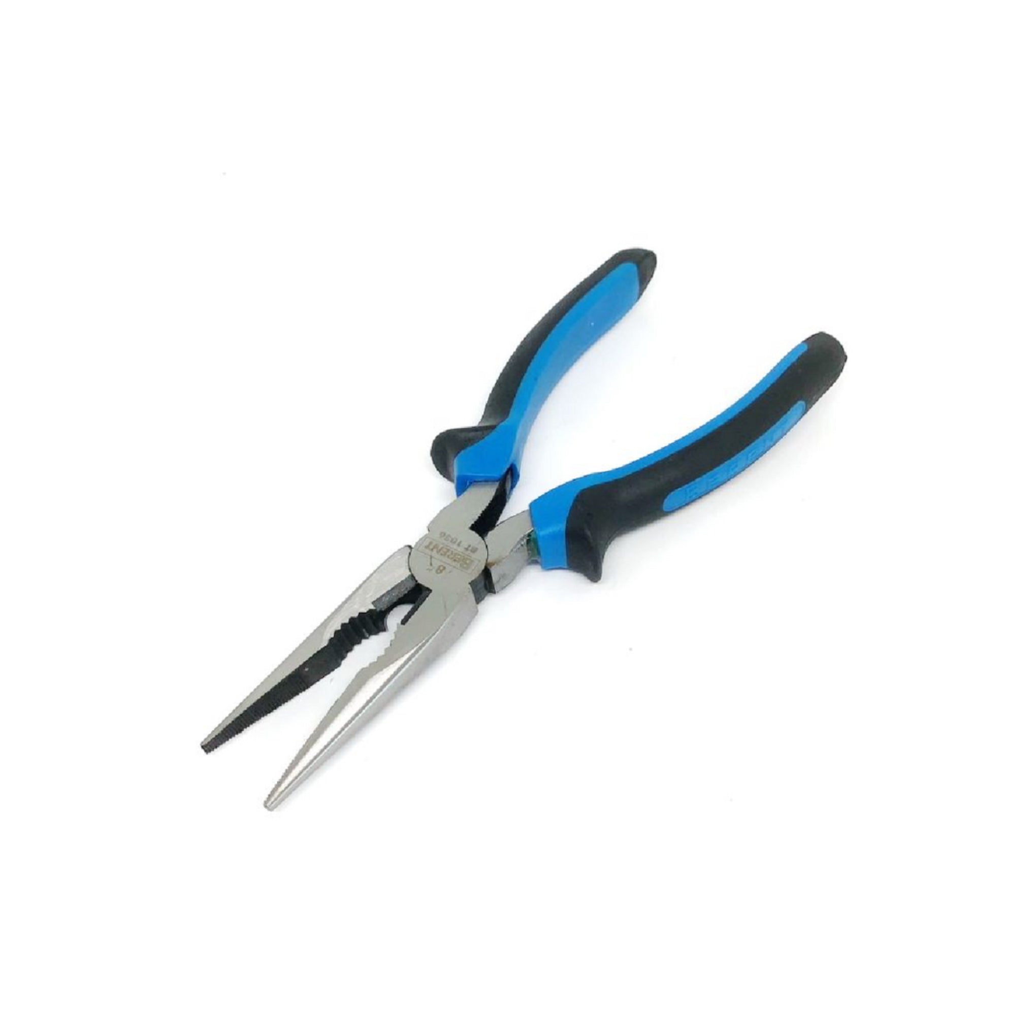 გრძელცხვირა ბრტყელტუჩა BERENT