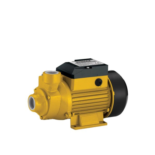 Water pump 60m RTM874