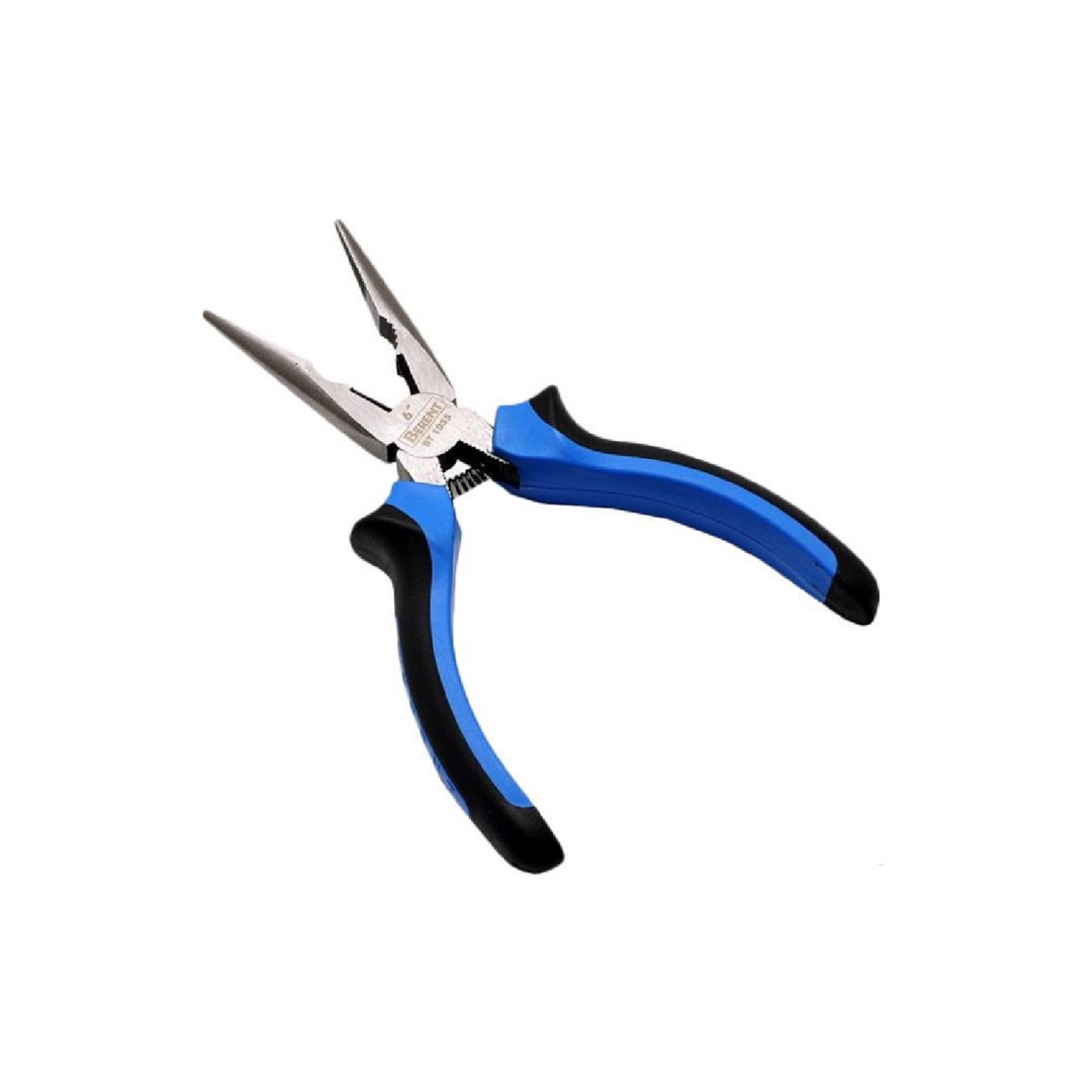 გრძელცხვირა ბრტყელტუჩა BERENT